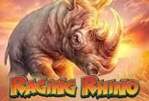 Raging Rhino Raging Rhino